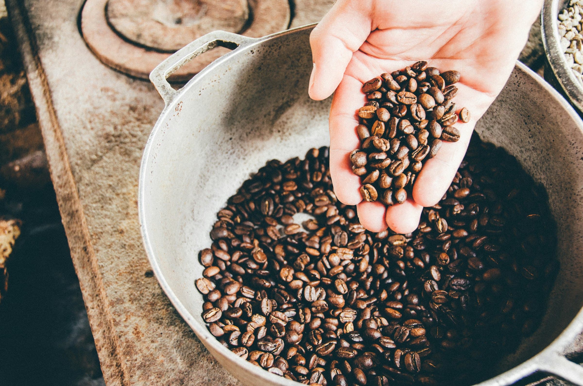 A hand holding freshly roasted coffee beans