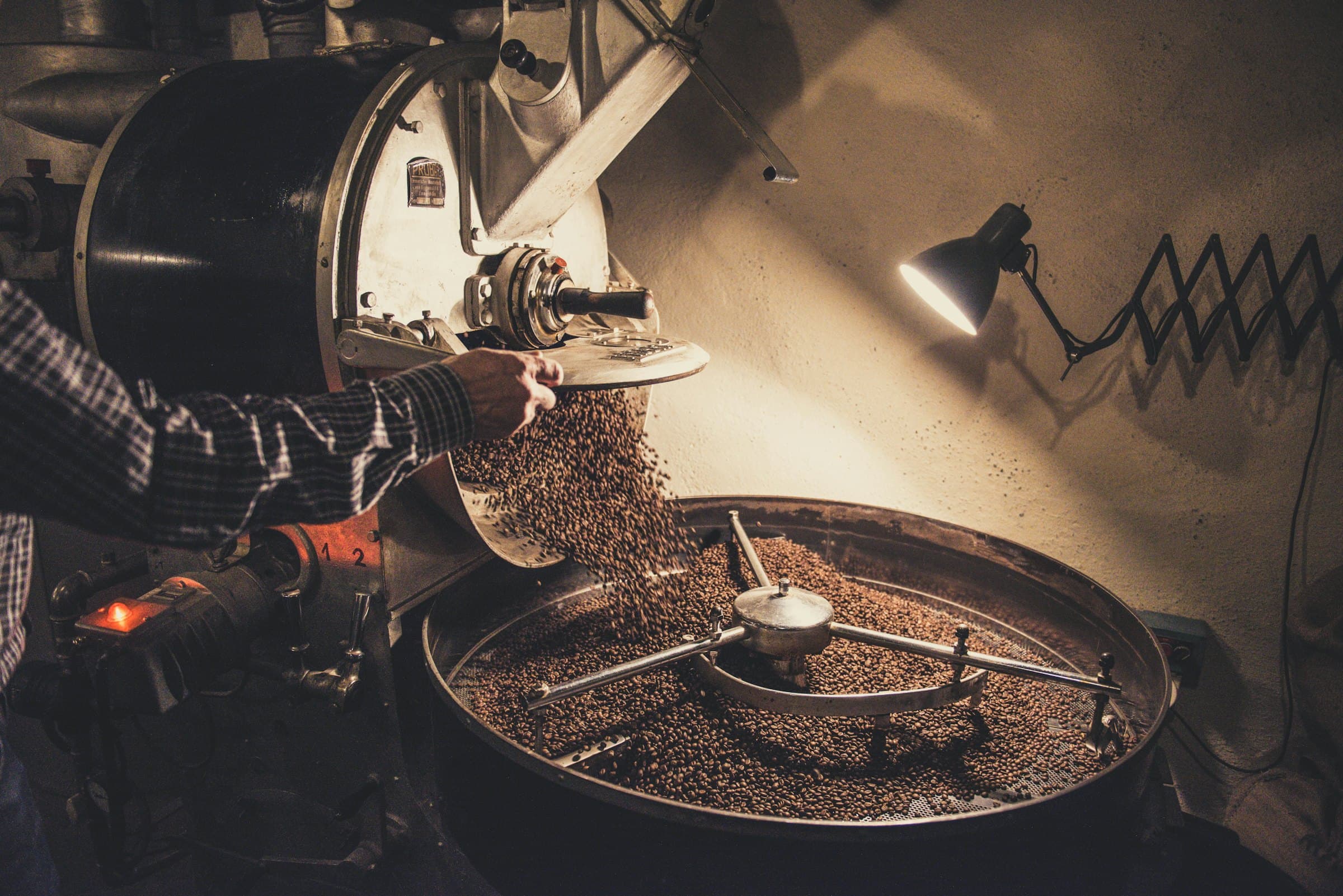 Coffee beans tumbling out of a drum roaster